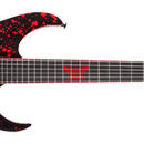 SCHECTER Sullivan King Banshee-6 FR