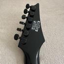 Ibanez mtm2 