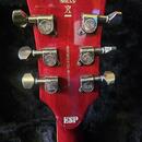 Esp ltd FM200