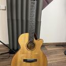 Cort SFX-Myrtlewood NT