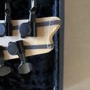 Ibanez TJ Craft RG2228 Japan s kufrem - rok výroby 2009