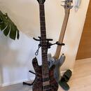 Spector NS Ethos 5 Super Faded Black Gloss