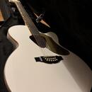 Gretsch G5022CWFE-12 Falcon Rancher + GATOR Case