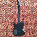 Fender Telecaster Custom FMT
