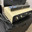 Yamaha THR 100HD (dual) + 212 repro