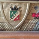 Detailní pohled na zlatou kovovou rámovou část klaviru se strunami. Uprostřed je umístěn štít s korunou a písmeny A a P, rozdělený šikmými pruhy v ze…