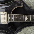 PRS SE Hollowbody Standard Piezo Dog Hair Smokeburst