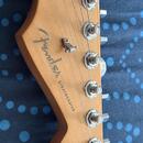 Fender Stratocaster player Mexico