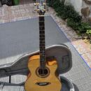 Furch G 25-LK CUT