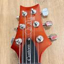 PRS SE Custom 24 VS (2019, Korea) + Seymour Duncan SH-6 Set