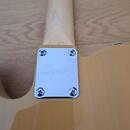 FenderTelecaster Scuier