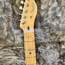Fender American Professional Telecaster