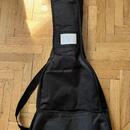 Fender ESC 80 3/4