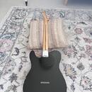Fender Telecaster Standard 2016 MIM + puzdro