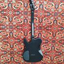 Fender Telecaster Custom FMT
