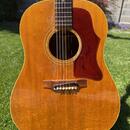 Gibson J-50 1966