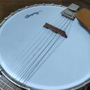 Banjo Mustang