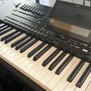 Korg pa5x
