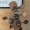 Sterling by music man ray34