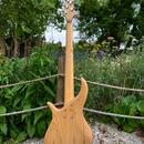 F bass BN5