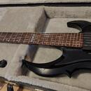 Elektrická kytara ESP LTD FRX-401 Black
