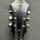Epiphone Inspired by "1966" Century (E422T) + pevný kufr 