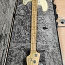 FENDER American Professional PB MN OWT
