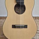 Salvador Cortez TC-460