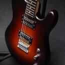 Poul Guitars Tele