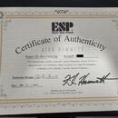 ESP KH-2 Kirk Hammett Signature (Made in Japan)
