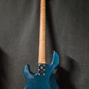 Music man StingRay