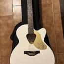 Gretsch G5022CWFE-12 Falcon Rancher + GATOR Case
