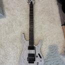 Ibanez PWM20 Paul Waggoner Signature (White) – Stav nové