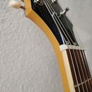 Epiphone Les Paul Special TV Yellow ZÁRUKA