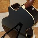 Fender Kingman Acoustic Bass v2