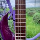 F bass 