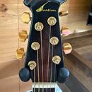 1988 Ovation Legend