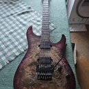 Elektrická kytara s dvojsekurovaným trupem v tmavě fialové barvě s viditnou strukturou dřeva. Nástroj má dva humbuckery, Tremolo most a dva ovládací…