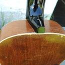 Kytara Cremona