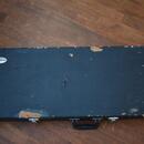 Godin Radiator Ivory 1999