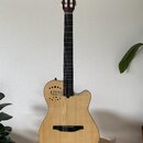 Akustická kytara s cutawayem, světlým dřevem desky a tmavým hmatníkem. Na hlavě je viditelné logo "Godin". Tělo má v horní části několik oválných zvu…