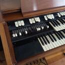 Hammond M100