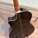 Harley Benton CLJ-503CE WN
