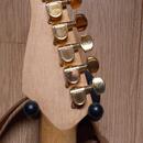 Godin g series USA 3000