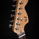 Poul Guitars Jazzmaster