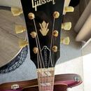 Gibson Hummingbird TV