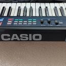 Casio CA -110