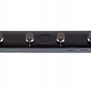 MOOER GS1000Li + GWF-4 switch