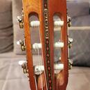 OSTERTAG Masterbuild 7/8 Classic Guitar (Made in Germany)