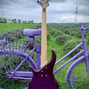 F bass 